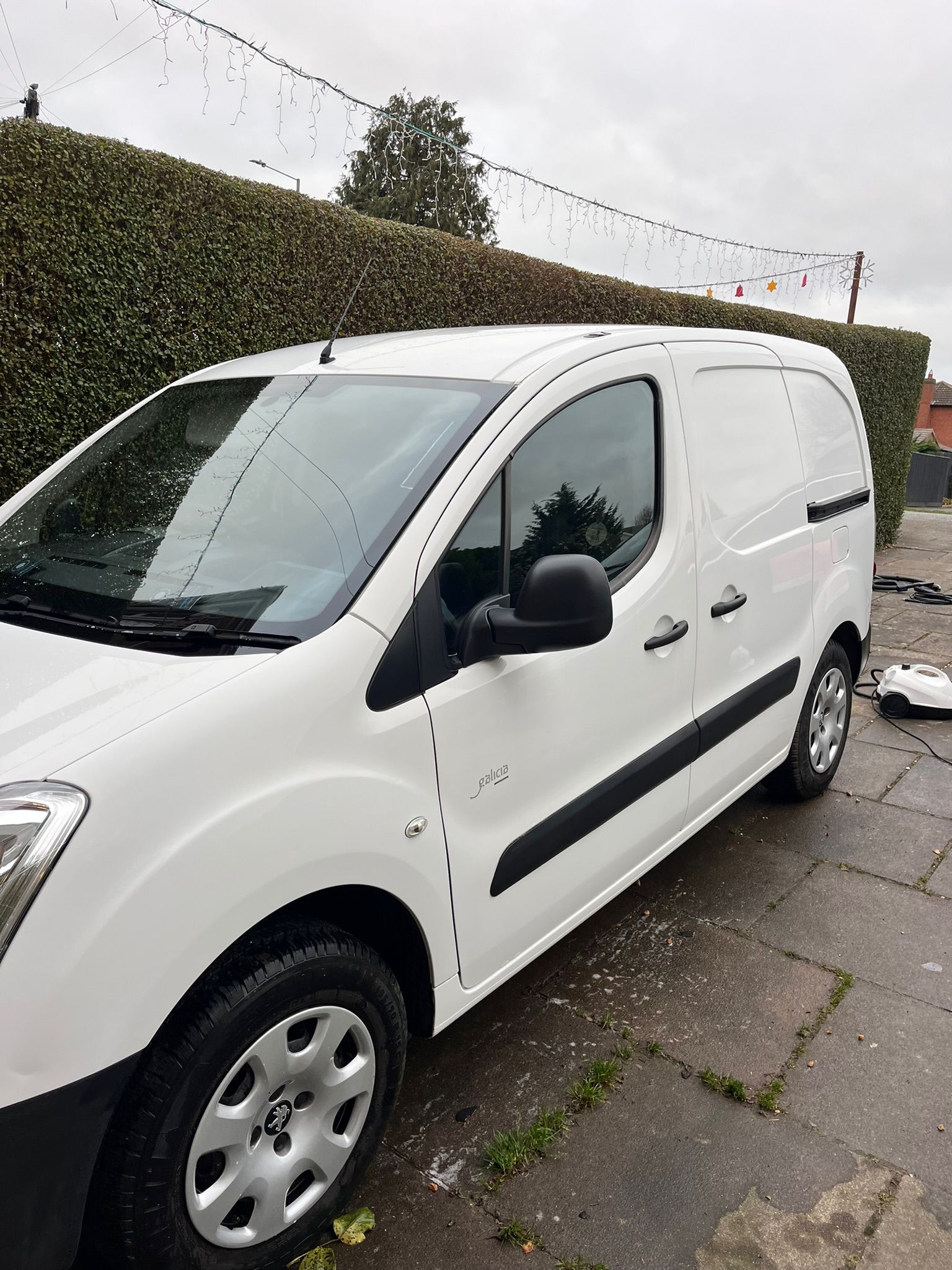White van parked beside hedgerow.
